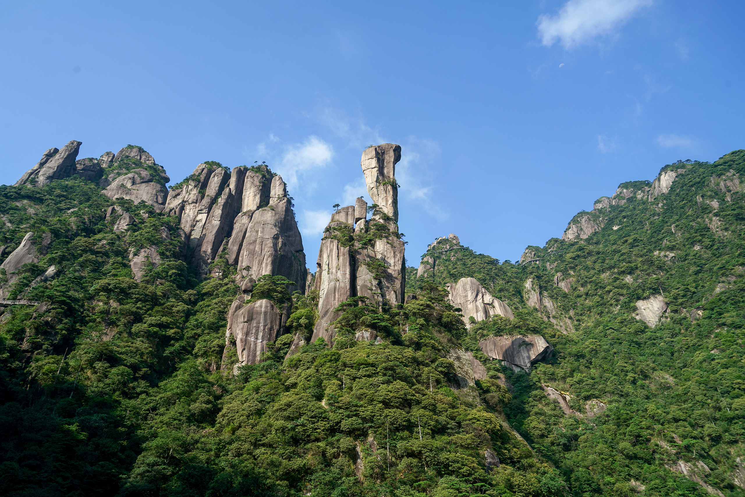 巨蟒出山