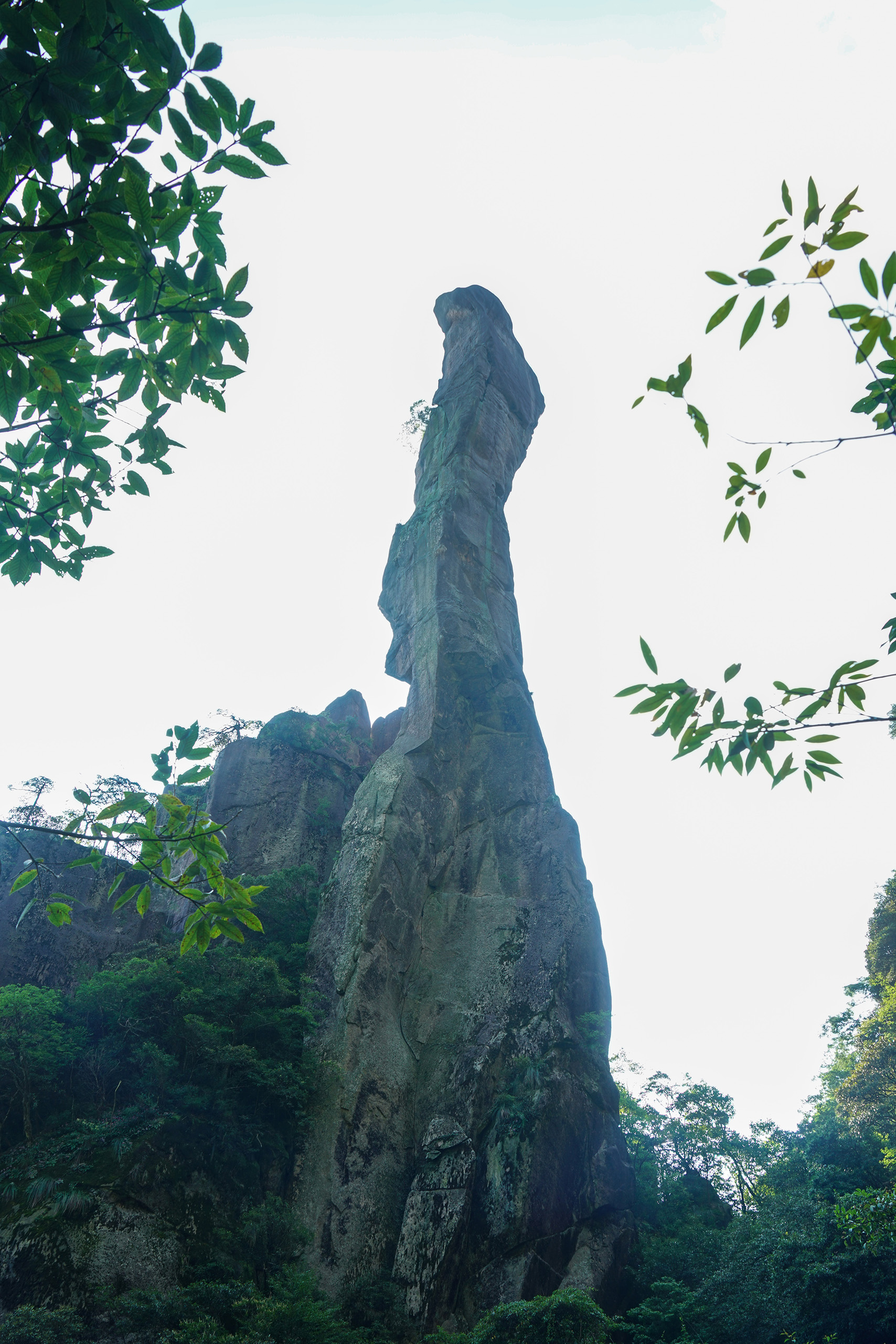 巨蟒出山
