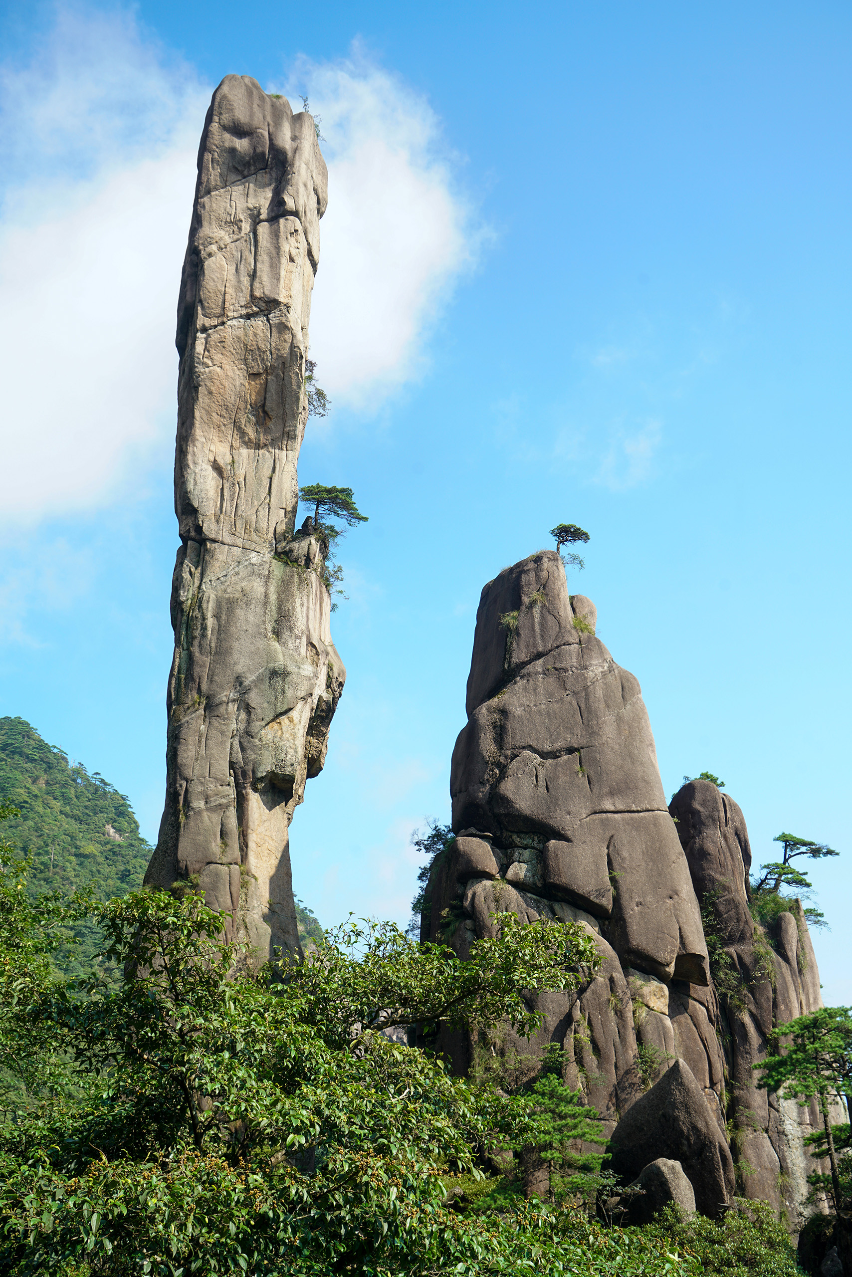 巨蟒出山