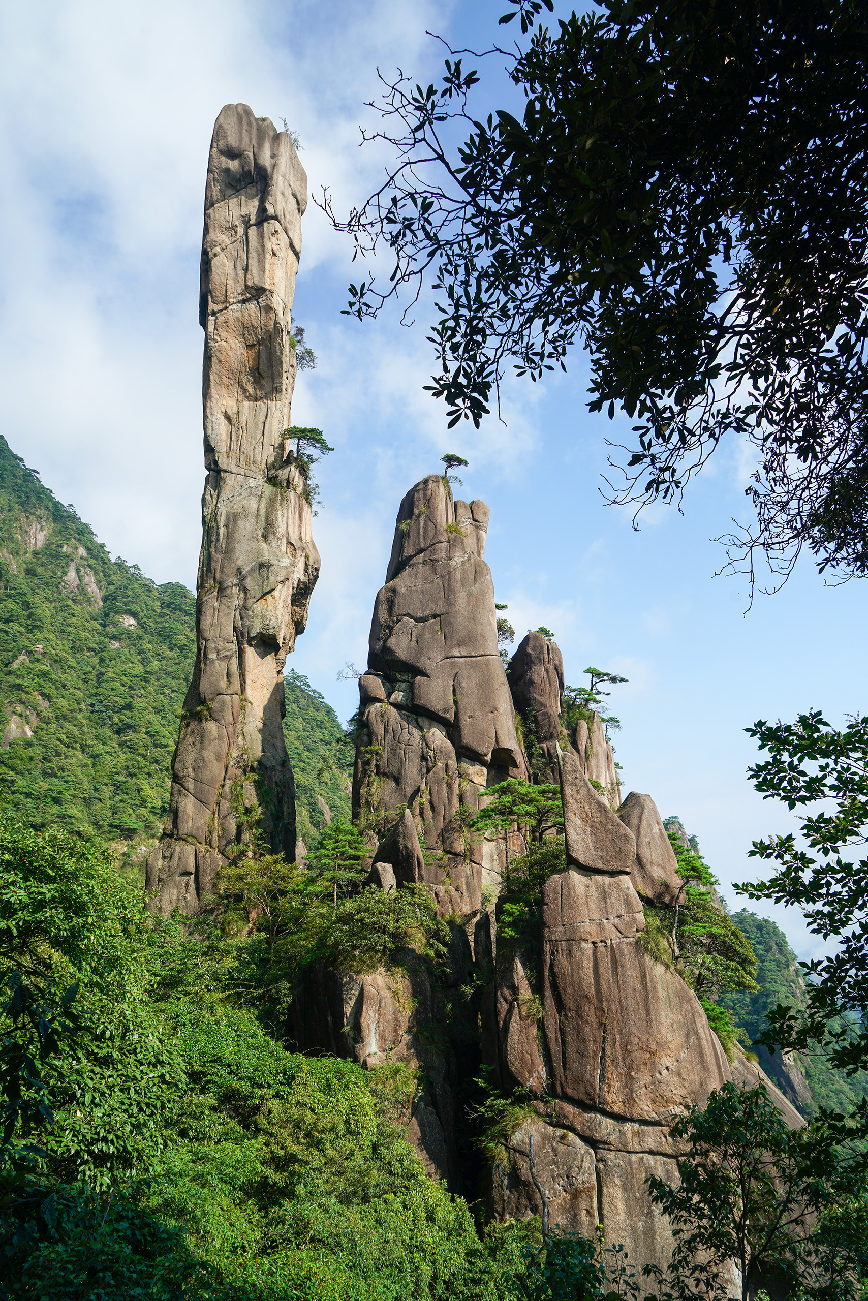 巨蟒出山