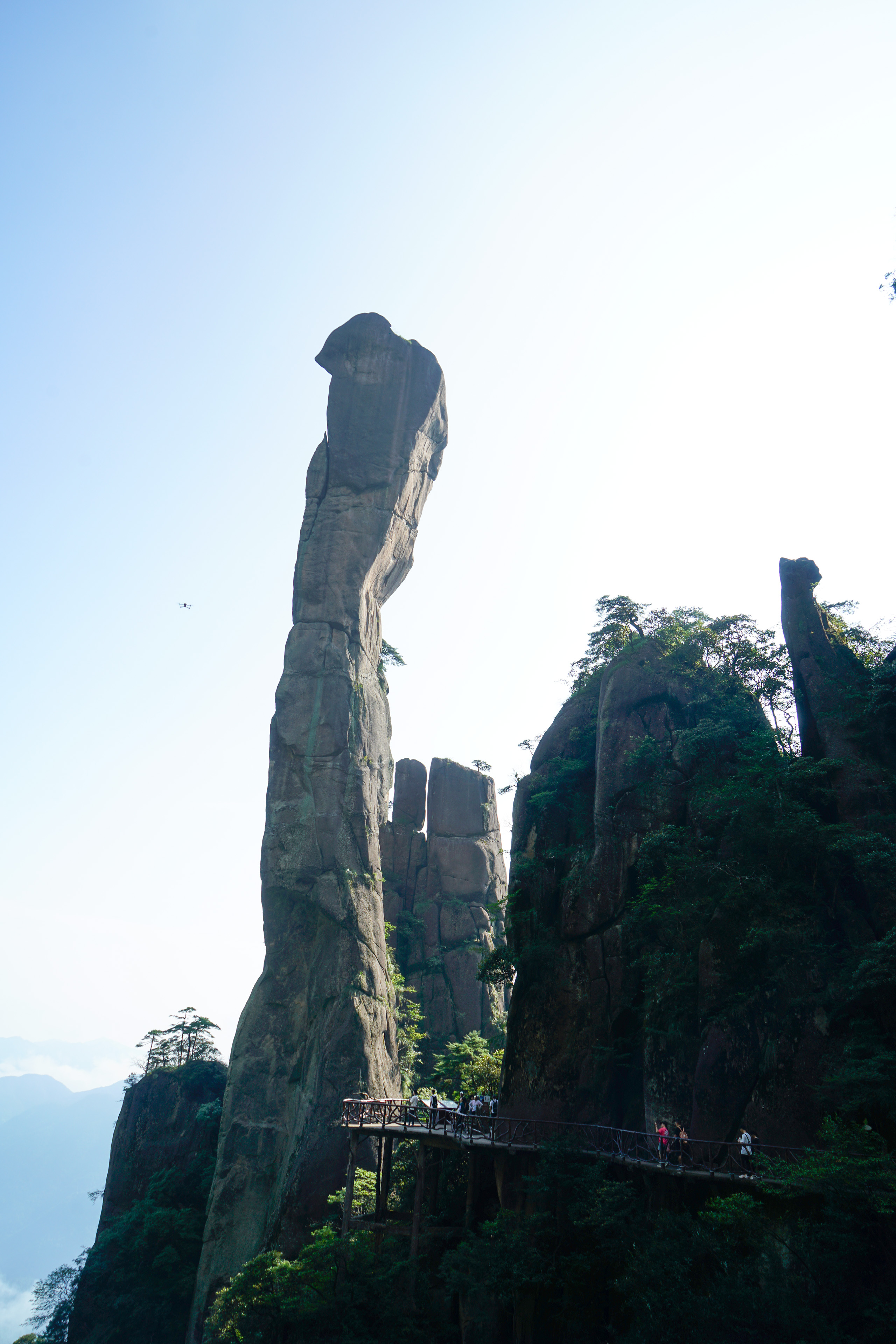 巨蟒出山
