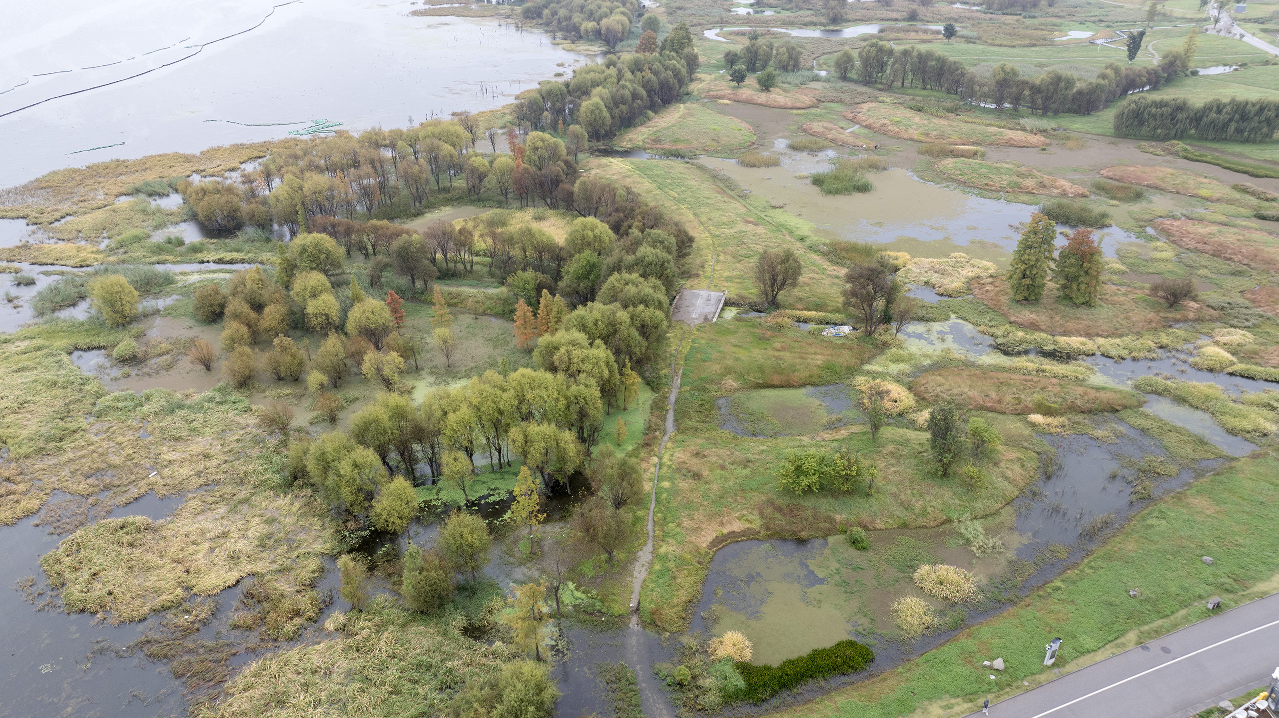 洱海湿地