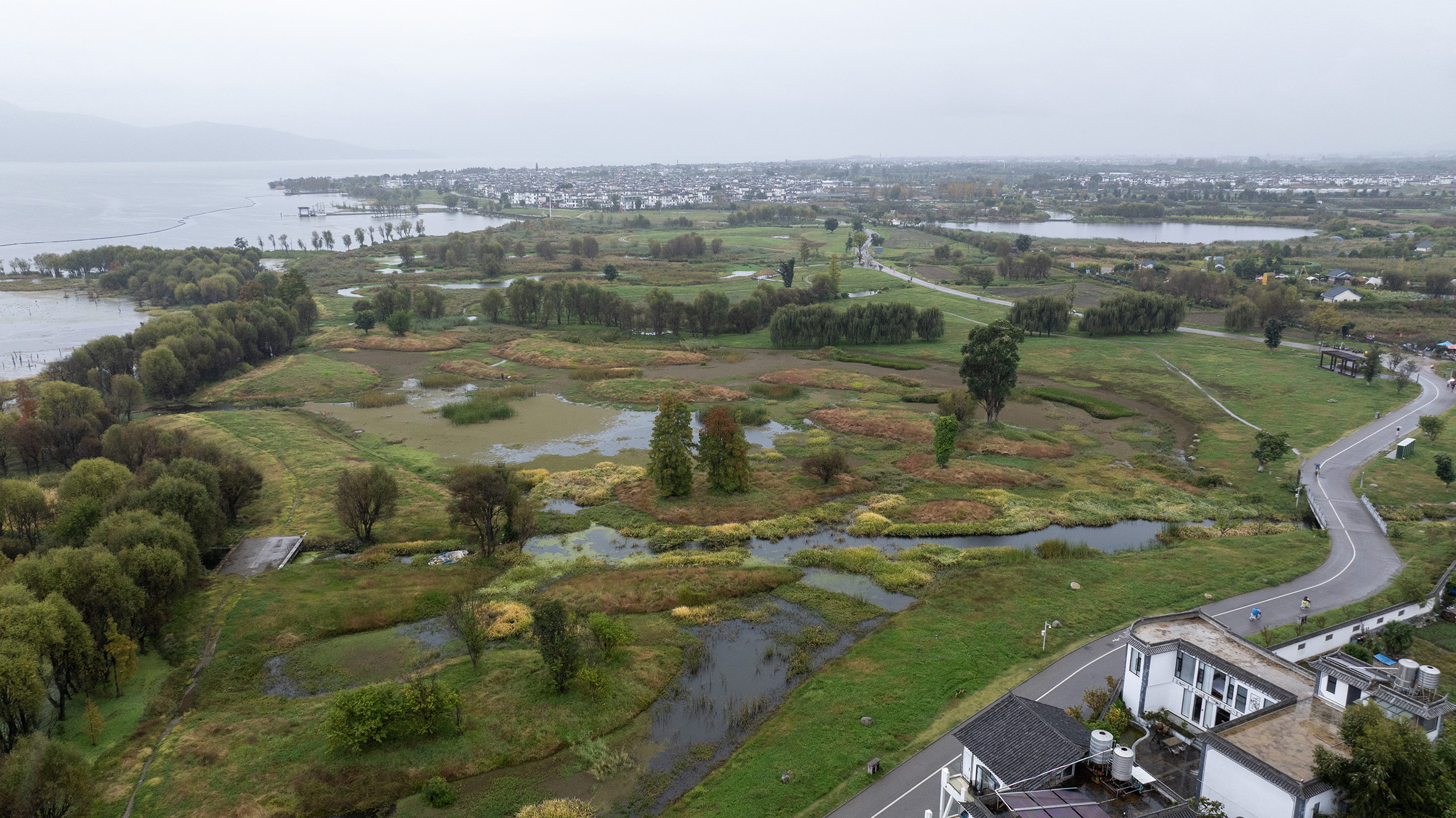 洱海湿地